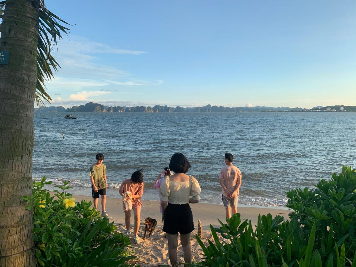 Tulip Homestay Ha Long Buitenkant foto